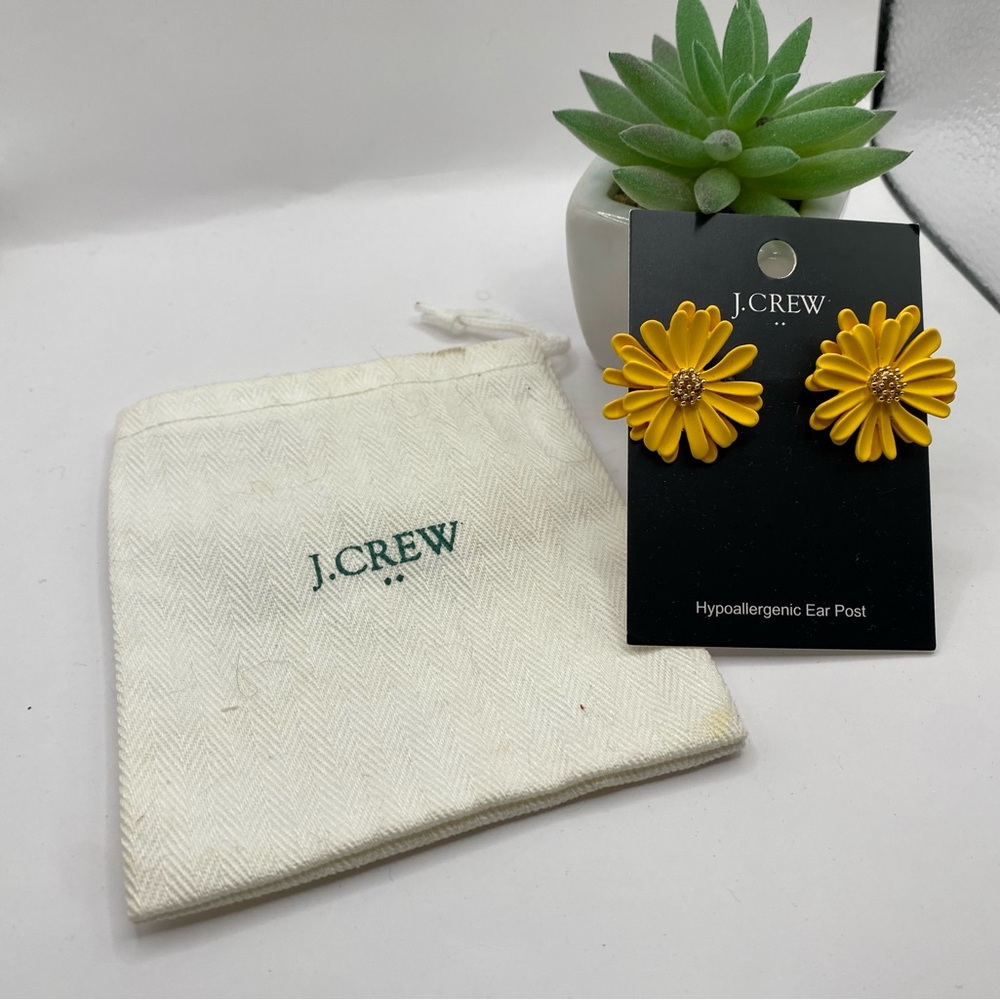 NWT: J. Crew Earrings Statement Earrings